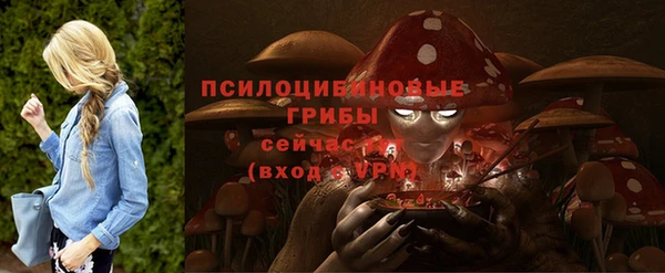 a pvp Абдулино
